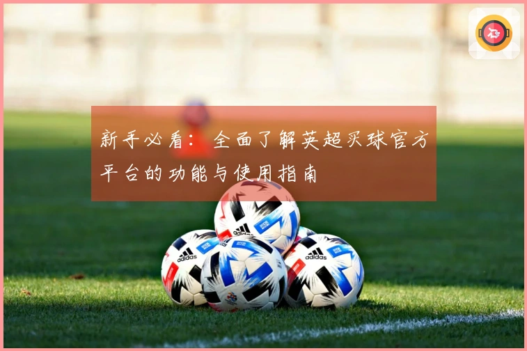 新手必看：全面了解英超买球官方平台的功能与使用指南