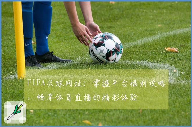 FIFA买球网址：掌握平台福利攻略，畅享体育直播的精彩体验
