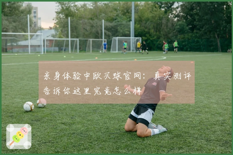 亲身体验中欧买球官网：真实测评告诉你这里究竟怎么样