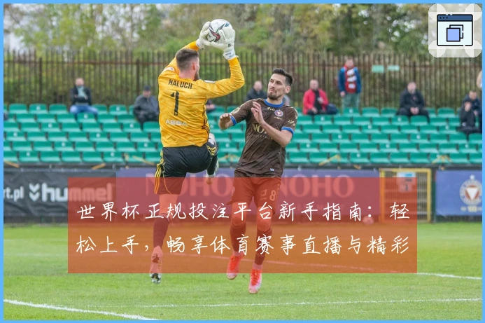 世界杯正规投注平台新手指南：轻松上手，畅享体育赛事直播与精彩内容