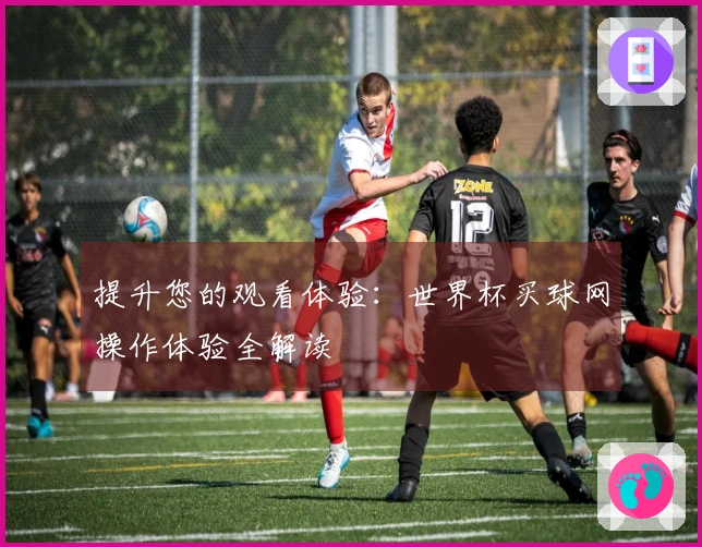 提升您的观看体验：世界杯买球网操作体验全解读