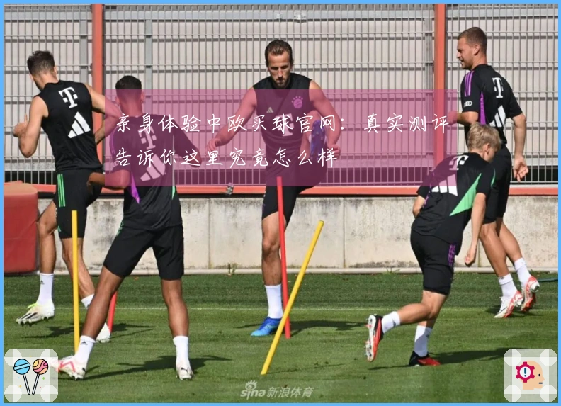 亲身体验中欧买球官网：真实测评告诉你这里究竟怎么样