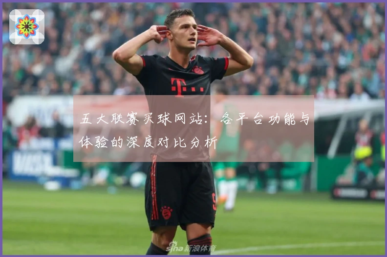 五大联赛买球网站：各平台功能与体验的深度对比分析