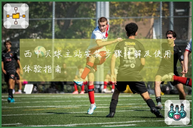 西甲买球主站安装步骤详解及使用体验指南